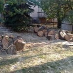 Cottonwood