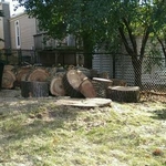 Cottonwood