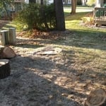 Cottonwood