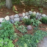 Christmas Lake Walls