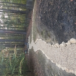 Stone Border Walkway & Grill Area