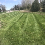 Residential lawn stripes