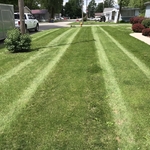 Residential lawn stripes