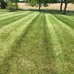 Residential lawn stripes