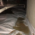 Sewage crawl space