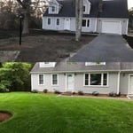 new grass