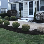 spring clean and mulch