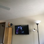 Wall fish tv NIH t
