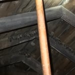 BATS IN CUSTOMERS ATTIC