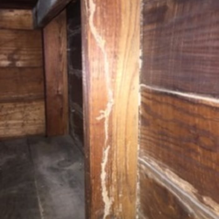 PICTURES OF OUR WORK