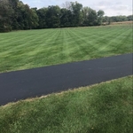 A beautifully thick lawn!