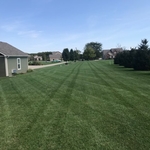 A beautifully thick lawn!