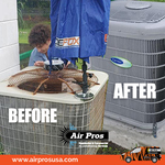 Before & After