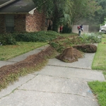 Flower bed clean up
