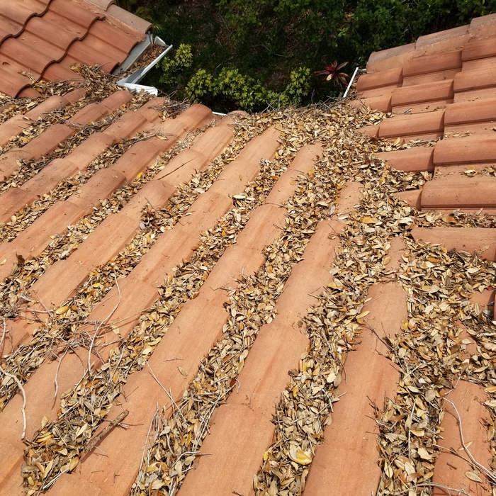 Condominium gutter cleaning