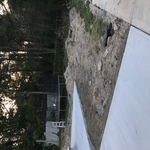 Before picture