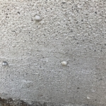 Coquina Panel