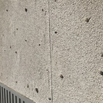 New Coquina Panel