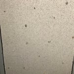 Coquina panel