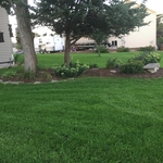 Mulch Bed