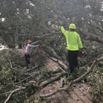 Tree Removal