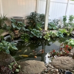 Pond design