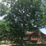 Colorado Springs resident