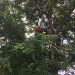 Colorado Springs resident