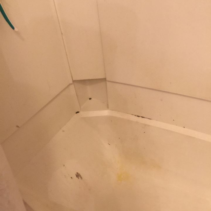 apartment clean out for m