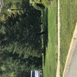 Northborough Avalon