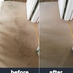 Carpet Cleaning