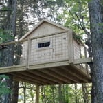 Tree House