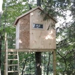 Tree House