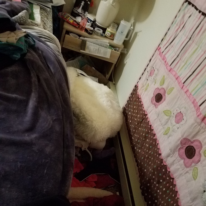 Right side of bed