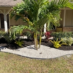 Landscape Design