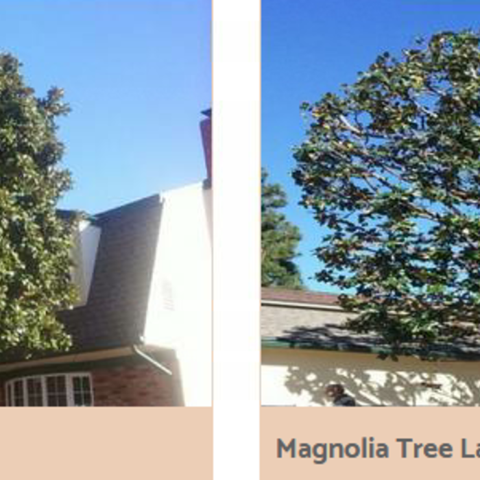 Trimming trees