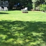lawn1