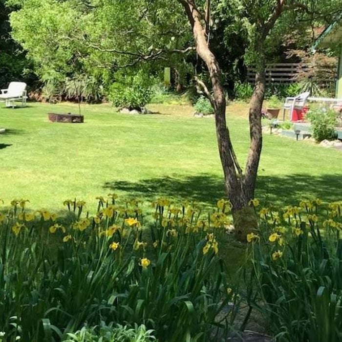 lawn2