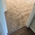 Carpet