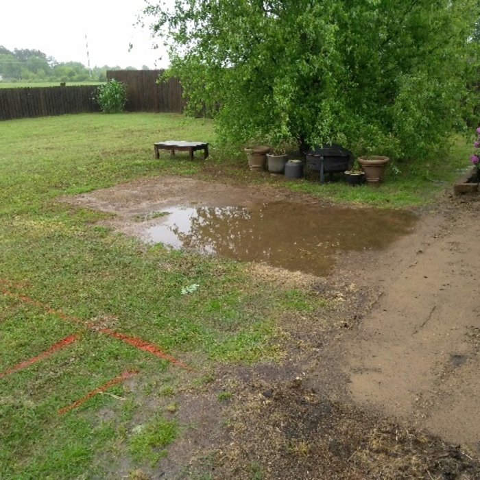 Yard Before