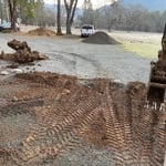 Stump removal