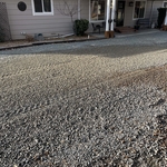 Stump removal After