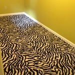 Zebra 1