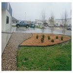 OUR WORK