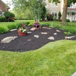 Flower Bed