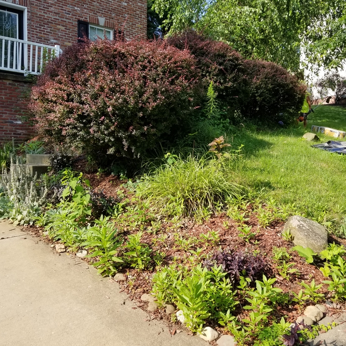 Driveway Side