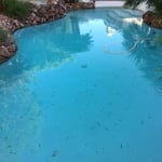Pool Maintenance