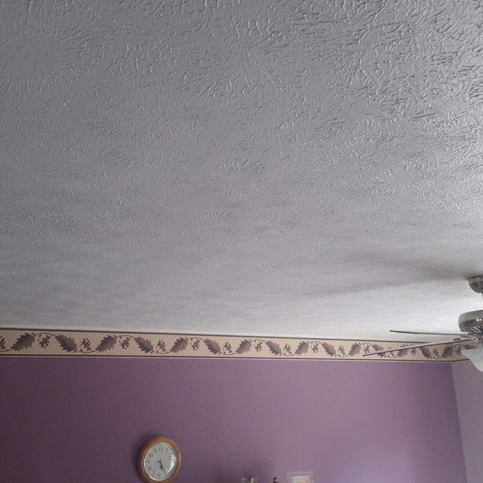 Re-stomped Ceiling