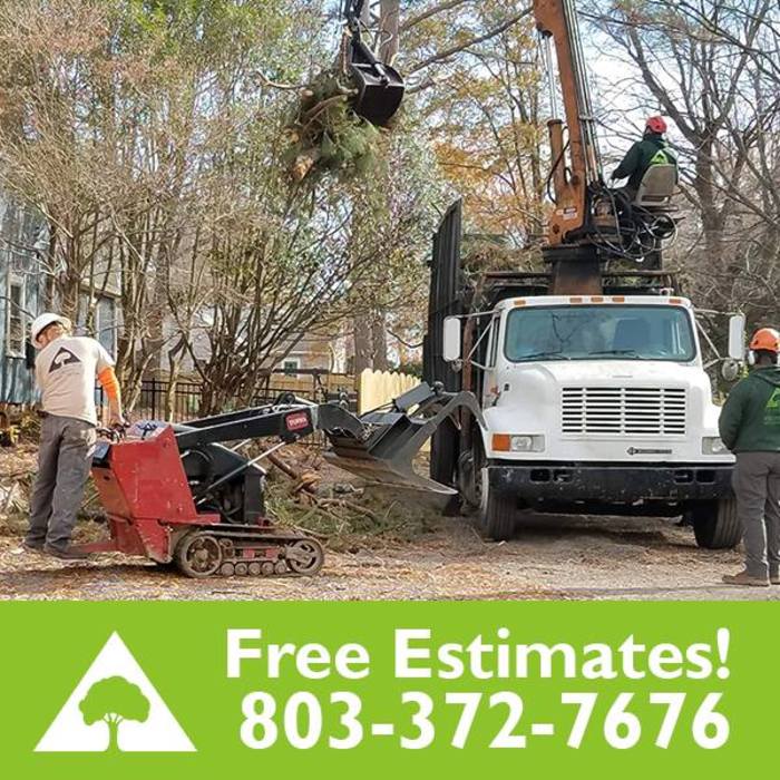 Free Estimates