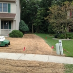 Right side yard